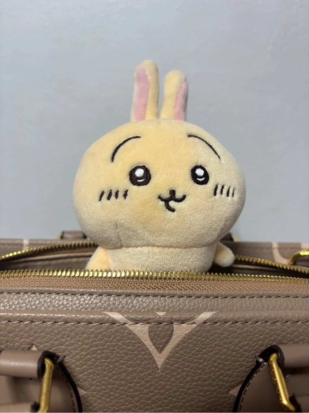 Brown/cream/tan handbag